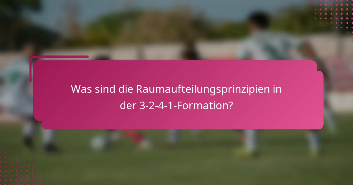 Was sind die Raumaufteilungsprinzipien in der 3-2-4-1-Formation?