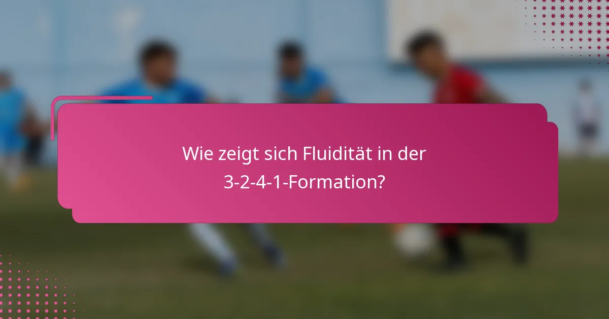 Wie zeigt sich Fluidität in der 3-2-4-1-Formation?